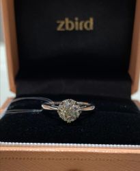 -Zbird钻石小鸟·钻戒婚戒定制高端珠宝私人定制中心