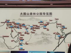 -大围山国家森林公园