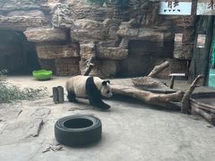 -石家庄市动物园