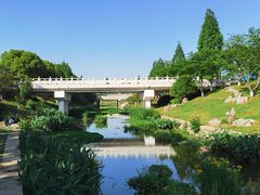 -羊山湖公园