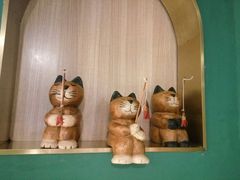 -飞行喵MR PILOT|猫舍·猫咖(静安大融城店)