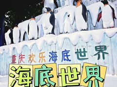 -重庆欢乐海底世界