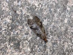 -碓臼峪自然风景区