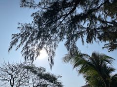 -三亚西岛海洋文化旅游区