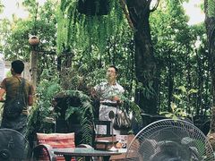 -Fern Forest Cafe