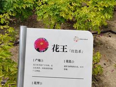 -太阳宫公园