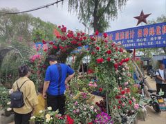-蒲河大集