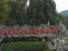 -玉泉威虎山森林公园