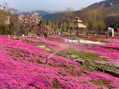 -棒棰岛宾馆景区