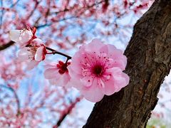 -白塘生态植物园