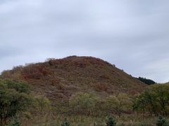 -御道口草原森林风景区