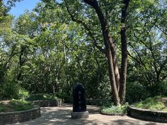 -上海佘山国家森林公园天马山园