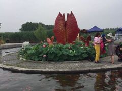 -白洋淀景区