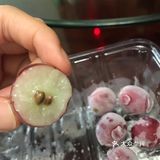 假期愉快[调皮]宅在家的肥仔
