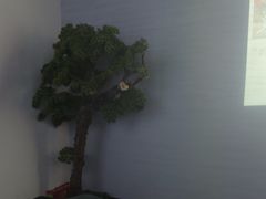 -上足·影院足道·SPA(红岭店)