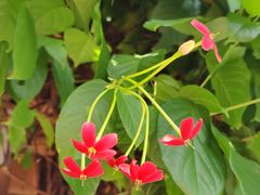 -火炉山森林公园