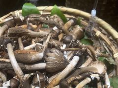 -黔蘑菇四季餐厅(观山湖店)