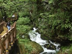 -五女峰国家森林公园