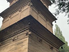 -兴教寺