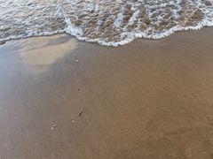 -朱家尖南沙景点