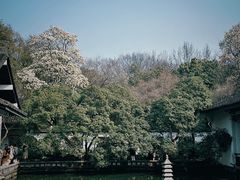 -杭州植物园