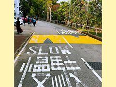 -大埔公路-马料水段香港中文大学(公交站)