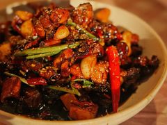 -苏记隐蔽地(吴井路店)