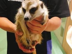 -藦茜花园宠物主题亲子互动体验馆(国顺东路店)