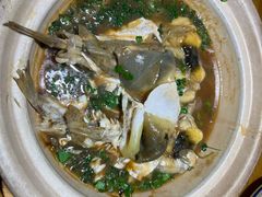 镇江秧草烧豚鱼-永安鱼庄·镇江菜(丁卯店)