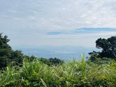 -广州市帽峰山景区