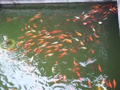 -包公祠