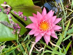 -国家植物园南园