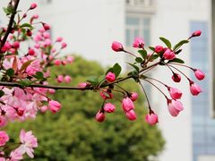 -南京信息职业技术学院