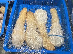 -渔傅·霞浦滩涂海鲜(建平店)