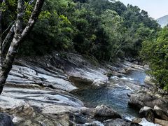 -霸王岭国家森林公园