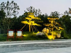 -莲花池公园