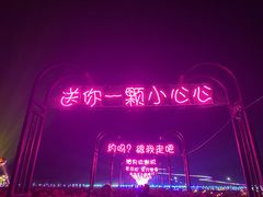-枫林花海