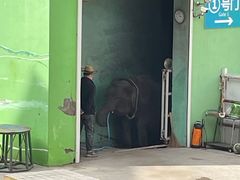 -大连森林动物园