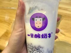 -一只酸奶牛(八一路店)