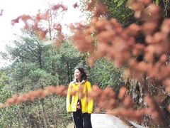-苍山感通索道