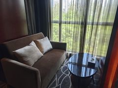 -常州环球恐龙城维景国际大酒店