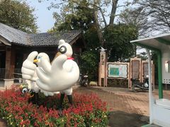 -大湾区中央湿地公园