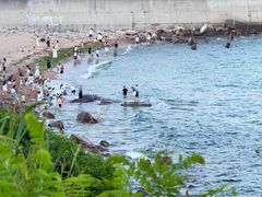 -燕儿岛山公园