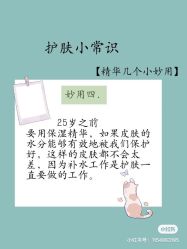 点击看大图 -凡碧诗毛孔清洁收细