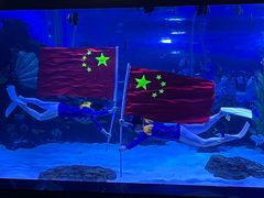 -顺德南宏海立方海洋公园