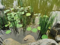 -木塔寺遗址生态公园