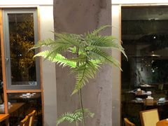 -宴武夷·匠心闽味(印象大红袍店)