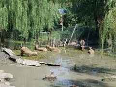 -溱湖国家湿地公园