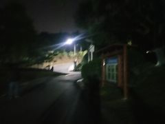 -火炉山森林公园