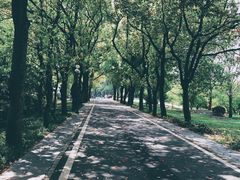 -东湖落雁景区